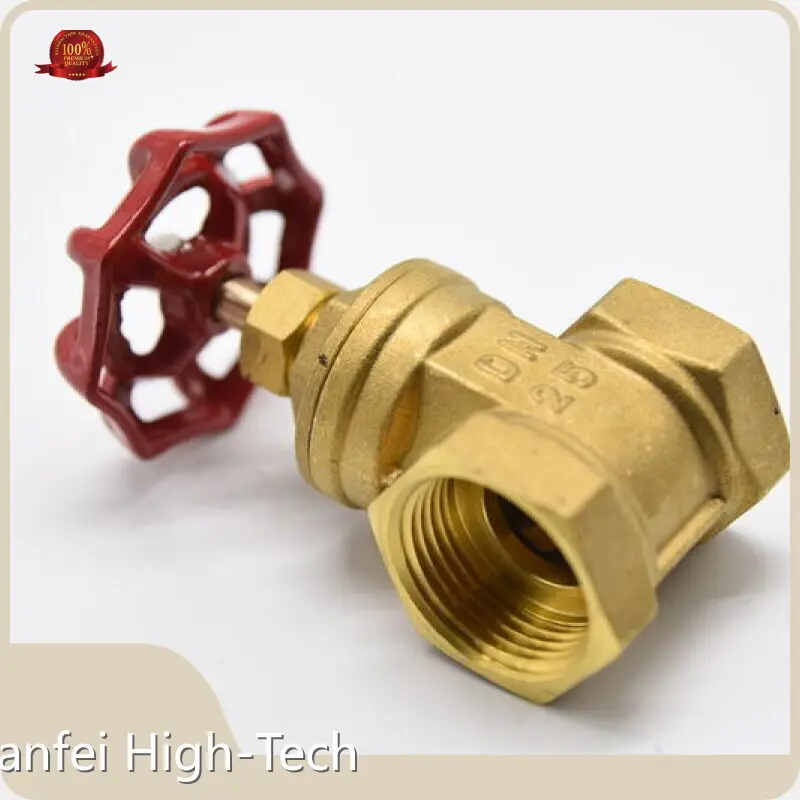 Custom Valve by Tianfei High-Tech 1