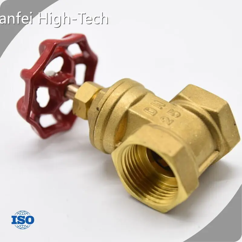 Tianfei High-Tech Motorized Valve Supplier 1