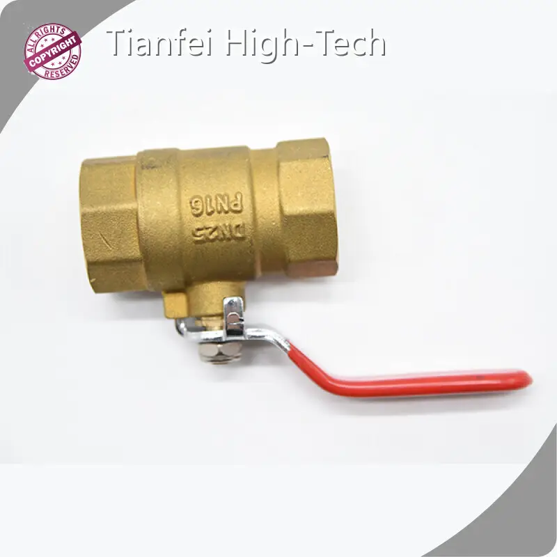 Electric Valve Manufacturer Tianfei High-Tech-3 1