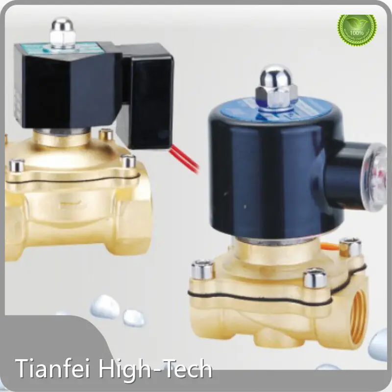 Diaphragm Type Solenoid Valve Tianfei High-Tech Brand 1
