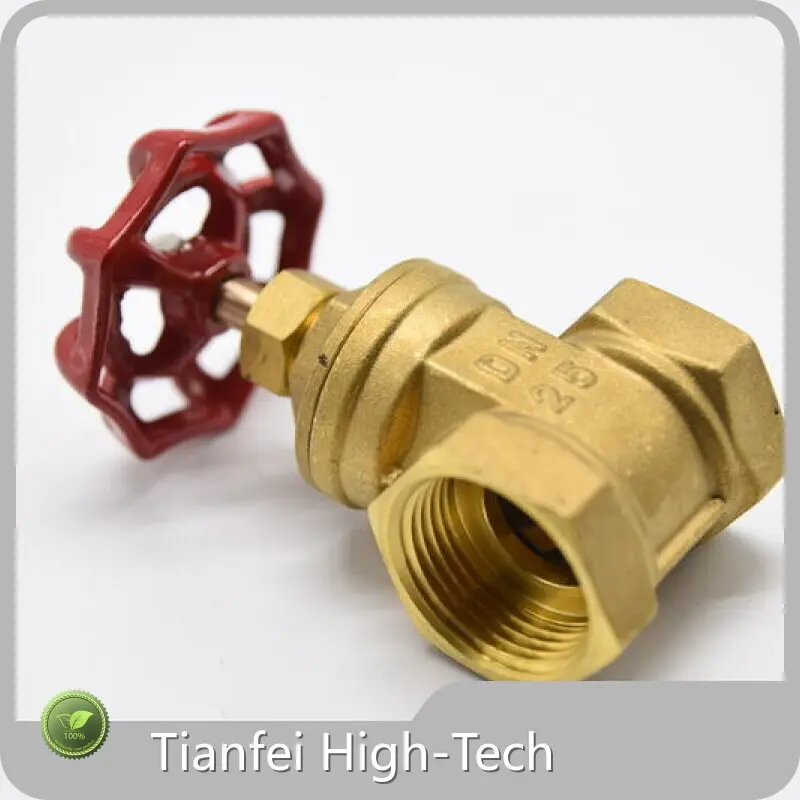 Hotmotorized Valve Supplier Tianfei High-Tech Brand-1 1