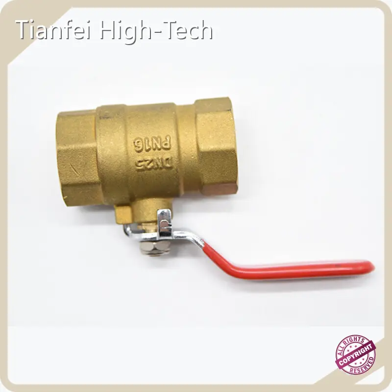 Tianfei High-Tech Electric Valve-1 1