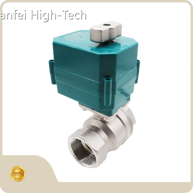 Custom Valve Manufacturer Tianfei High-Tech Manufacture-1 1