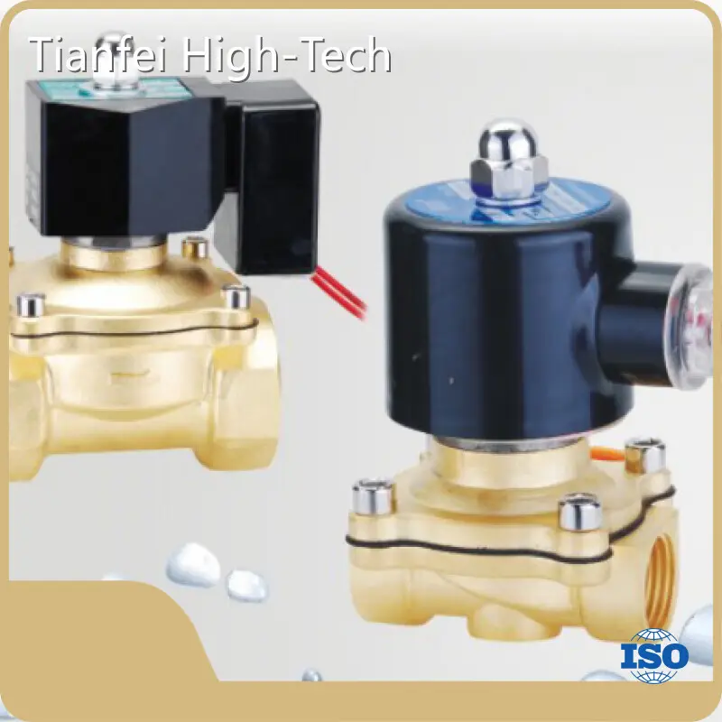 Diaphragm Solenoid Valve Tianfei High-Tech, 1