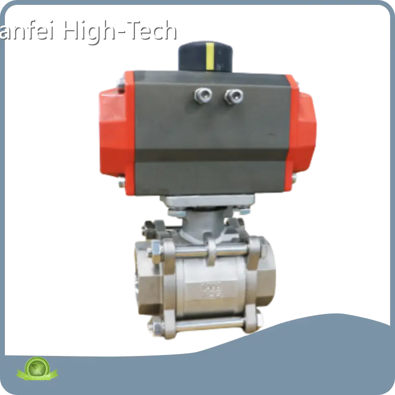 Pneumatic Valve Actuator Tianfei High-Tech-1 1