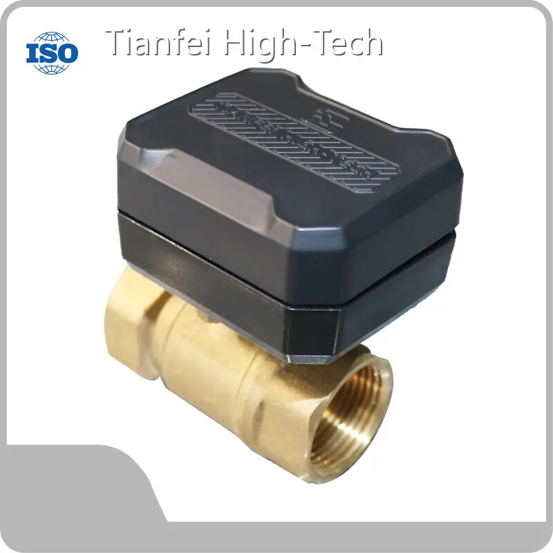 Custom Electric Valve Tianfei High-Tech-1 1