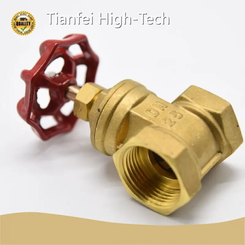 Custom Stainless Steel Gate Valve Tianfei High-Tech 1