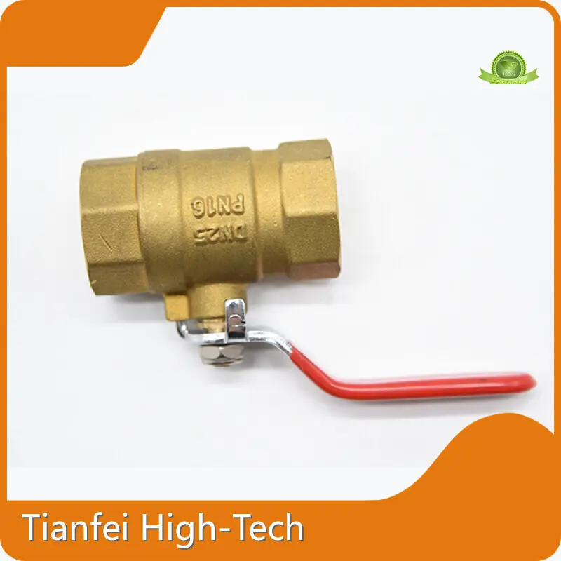 Cast Steel Gate Valve Manufacturer Tianfei High-Tech, 1