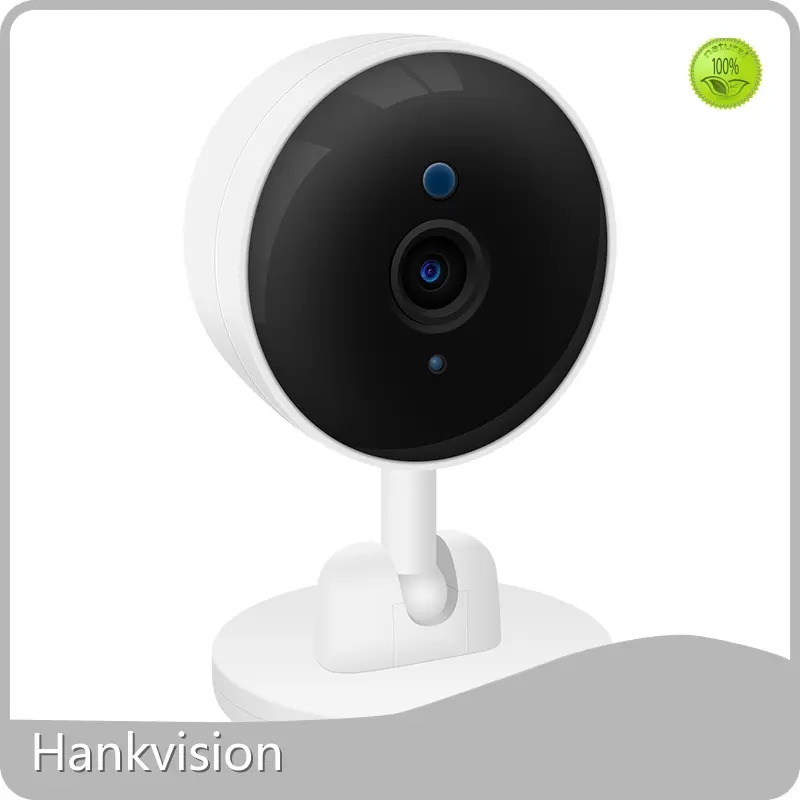 Ai Cctv Camera - - Hiseesmart 1