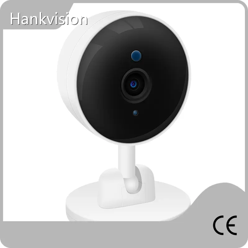 Ai Cctv Camera Wholesale - Hiseesmart-11 1