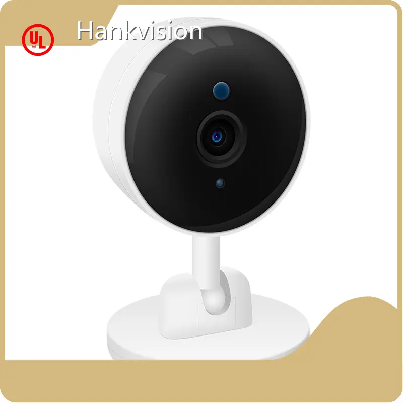 Ai Surveillance Camera - - Hiseesmart-37 1