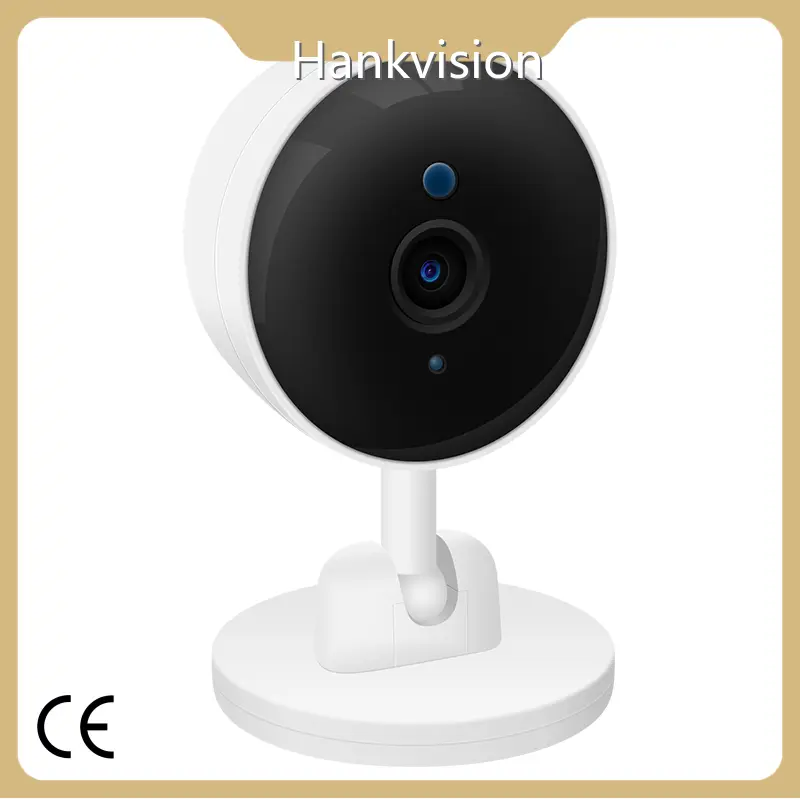 Ai Surveillance Camera Wholesale - Hiseesmart-14 1