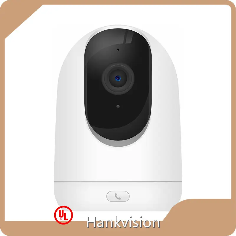 Ai Surveillance Camera - - Hiseesmart-42 1