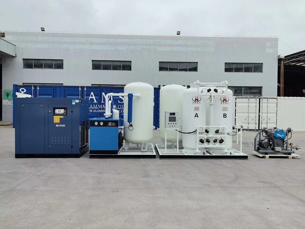 93% 50Nm3/h Industrial Oxygen Machine for Chicken Farms Ensure Adequate Oxygen Supply 1