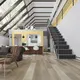 Wholesale Rigid Core Spc Floor Lexuan Flooring Manufacture 8