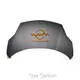 Carbon Fiber Hood by Oya Carbon-1 1