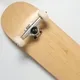 Wholesale Skateboard Complete Price List 3