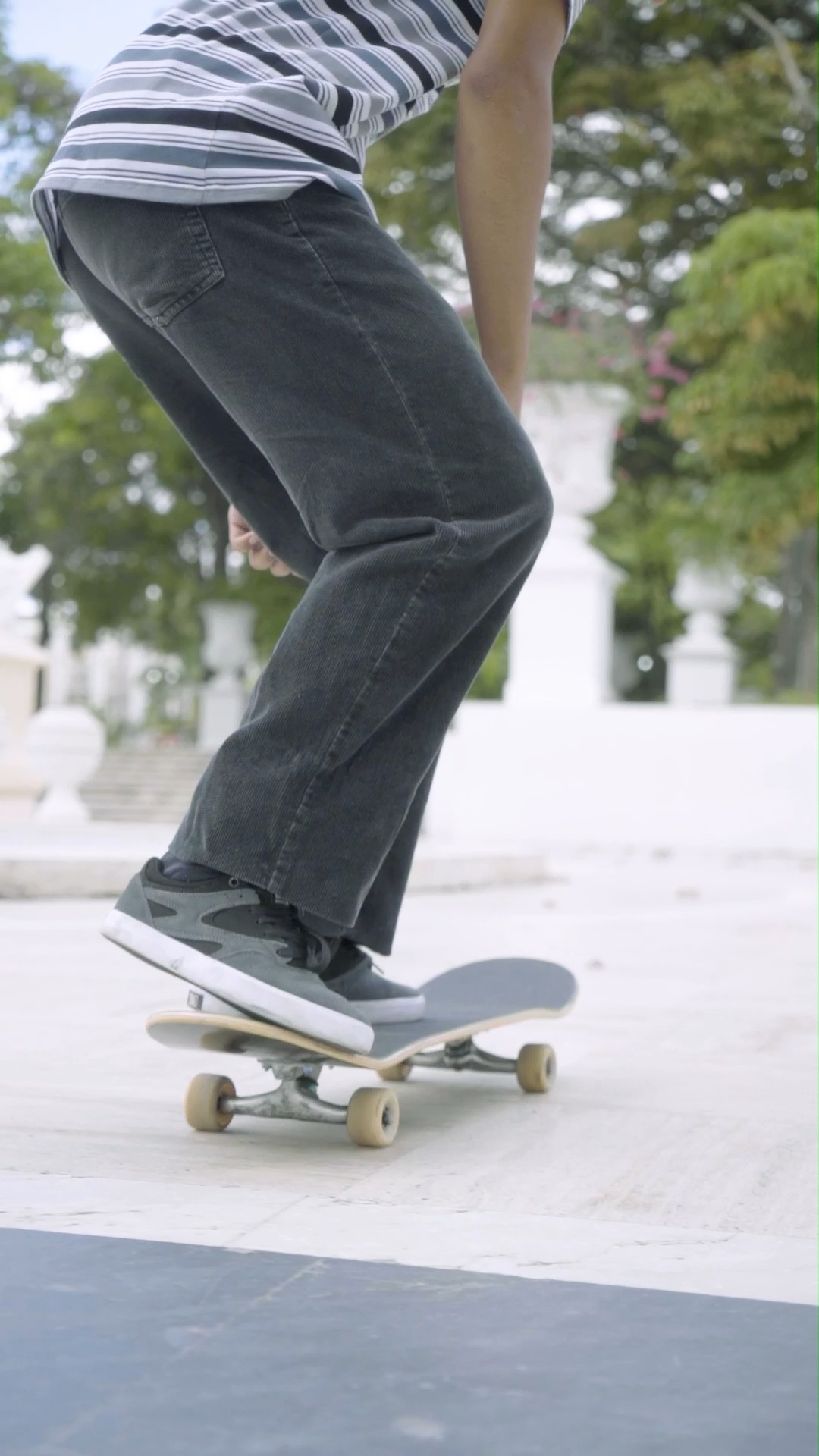 カラーダイ カナディアン メープル カスタム プロフェッショナル