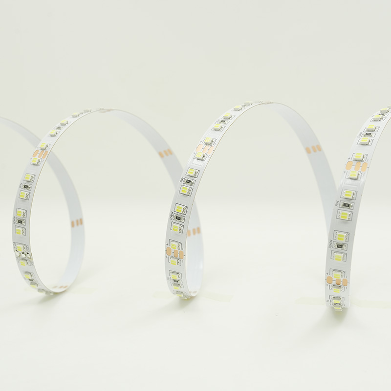 24V CCT einstellbares LED-Band -2835 128LED RA95+ 6000K Kaltweiß IP20 10
