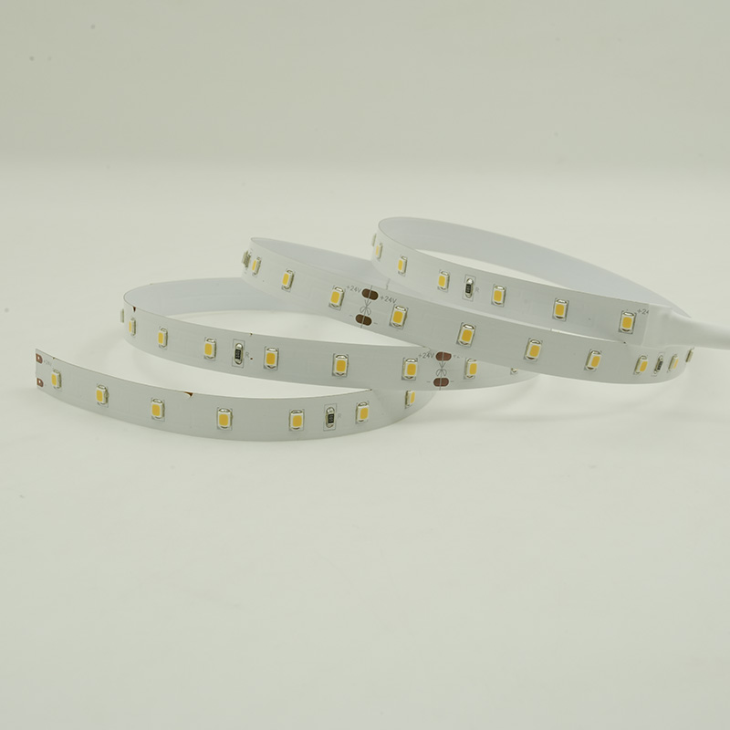 High Efficiency 3000k Warm White Flex LED Strip 2835 DC24V 10mm 56LED Lights 11