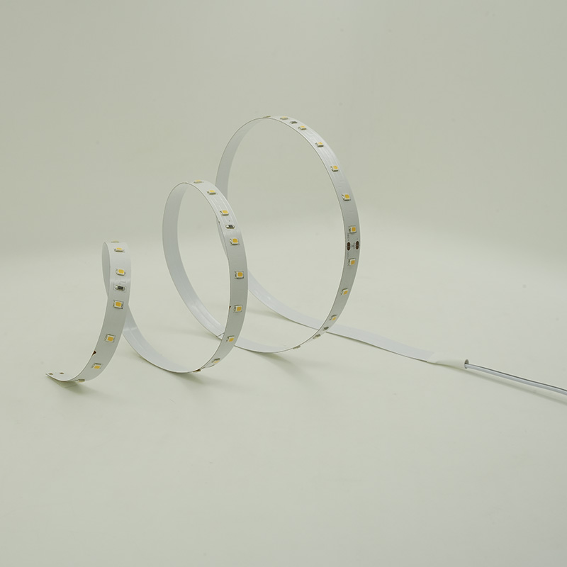 High Efficiency 3000k Warm White Flex LED Strip 2835 DC24V 10mm 56LED Lights 9