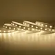 Hot Sale Multicolor Led String Lights Modern design for Shopping Mall Decoration 6