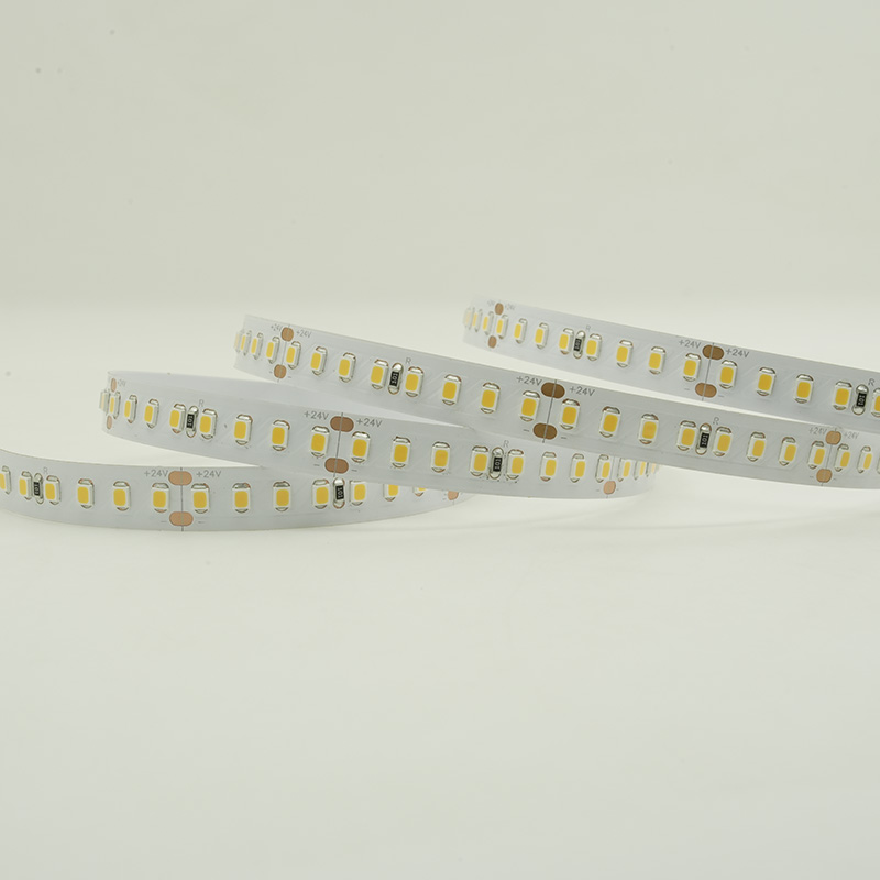 Ruban LED 2835 à spectre complet 24 V avec 160 LED lumineuses 11