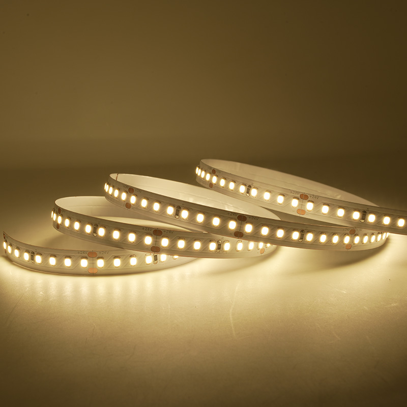 Ruban LED 2835 à spectre complet 24 V avec 160 LED lumineuses 10