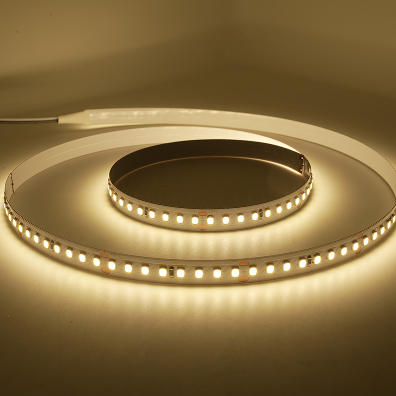 Ruban LED 2835 à spectre complet 24 V avec 160 LED lumineuses 8