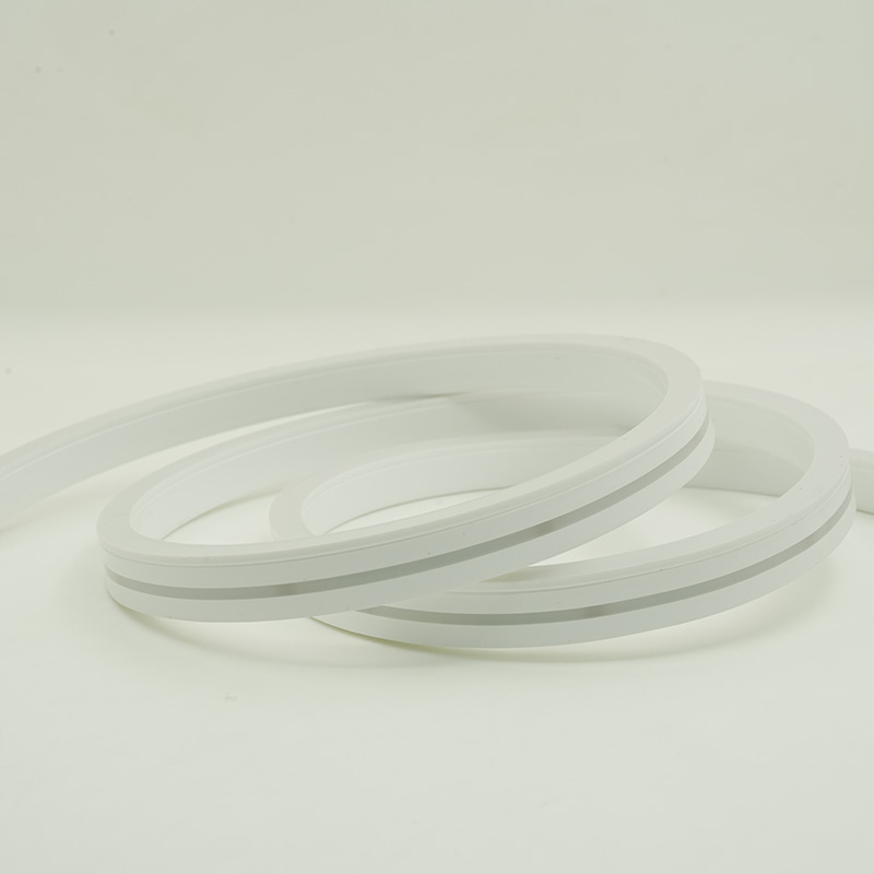 Factory Direct Outdoor Christmas Light Strips Price List 9