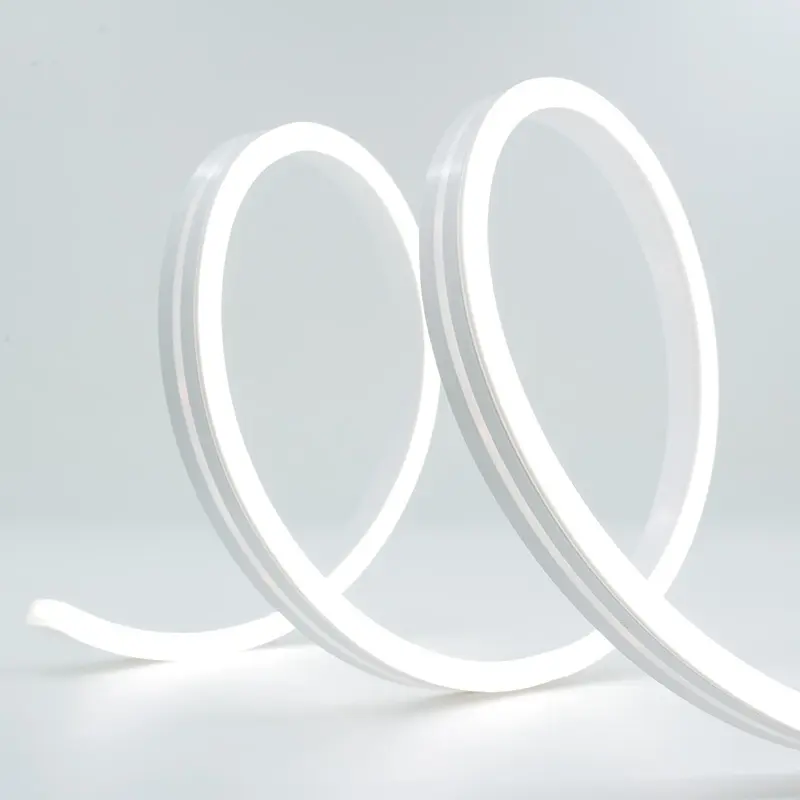 Factory Direct Outdoor Christmas Light Strips Price List 7