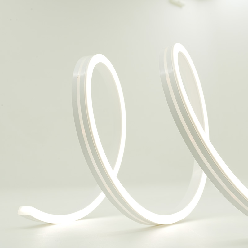 Factory Direct Outdoor Christmas Light Strips Price List 6