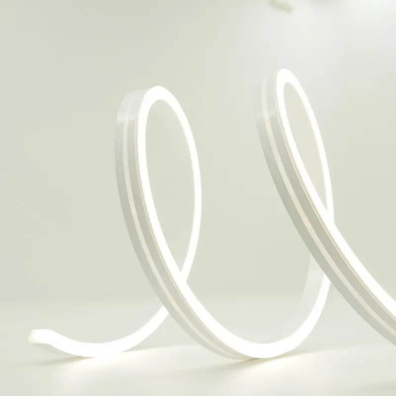 Factory Direct Outdoor Christmas Light Strips Price List 6