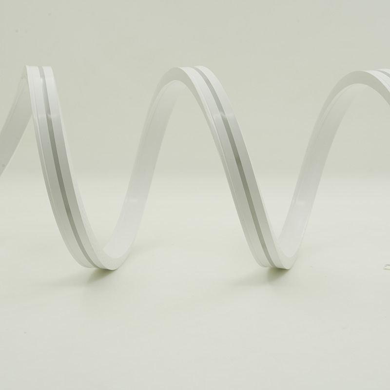 Factory Direct Outdoor Christmas Light Strips Price List 4