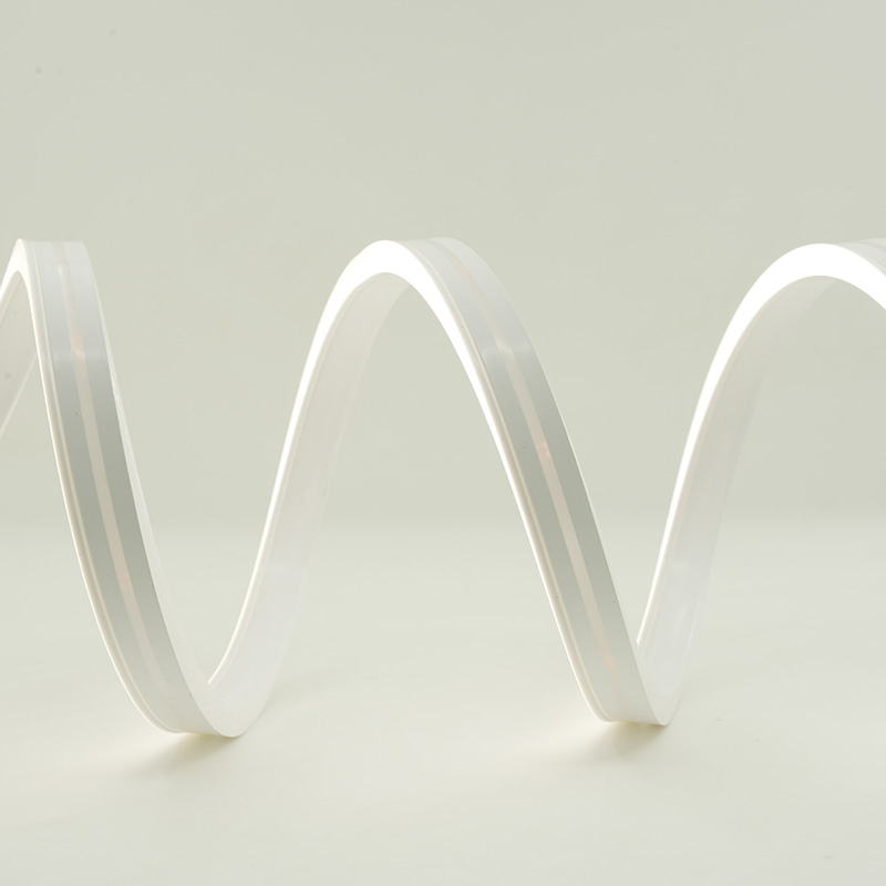 Factory Direct Outdoor Christmas Light Strips Price List 3