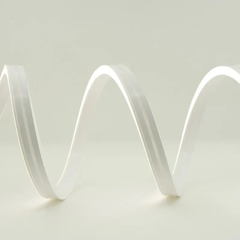 Factory Direct Outdoor Christmas Light Strips Price List 3