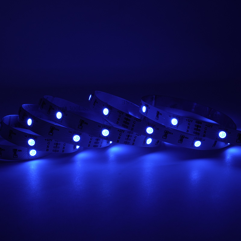 La cinta direccionable de 12V SMD5050 LED enciende la luz de tira elegante teledirigida de 36leds RGB 11