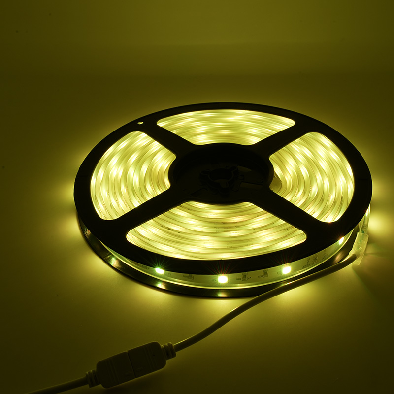 Cinta colorida impermeable de la luz de tira del LED 12V RGB LED con 48 LED los 5M IP67 2
