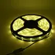 5m Led Strip Light 12mm RGBWsupply 16