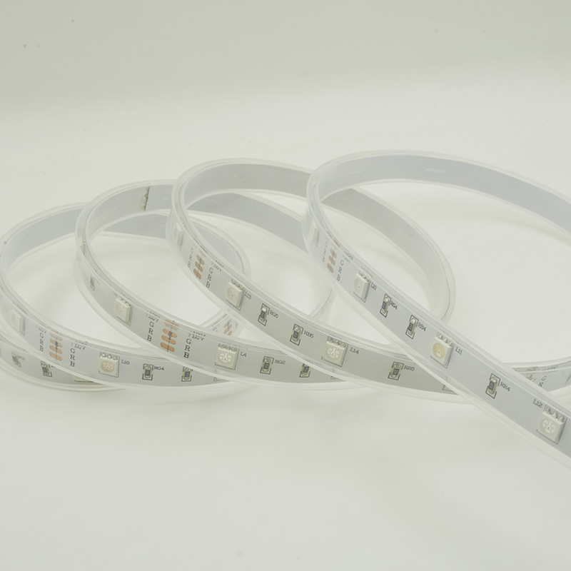 Cinta colorida impermeable de la luz de tira del LED 12V RGB LED con 48 LED los 5M IP67 16
