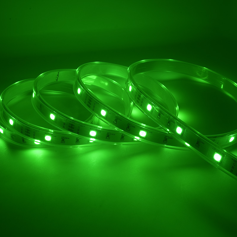 Cinta colorida impermeable de la luz de tira del LED 12V RGB LED con 48 LED los 5M IP67 15