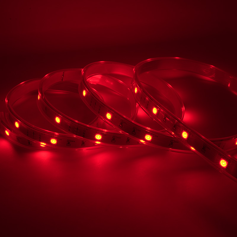 Cinta colorida impermeable de la luz de tira del LED 12V RGB LED con 48 LED los 5M IP67 14