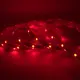 5m Led Strip Light 12mm RGBWsupply 12