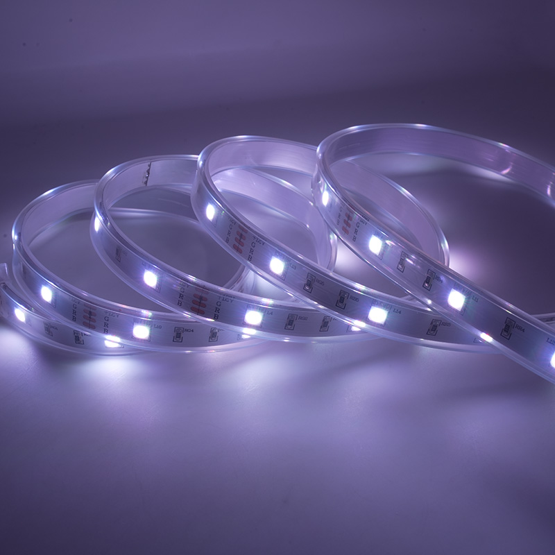 Cinta colorida impermeable de la luz de tira del LED 12V RGB LED con 48 LED los 5M IP67 13