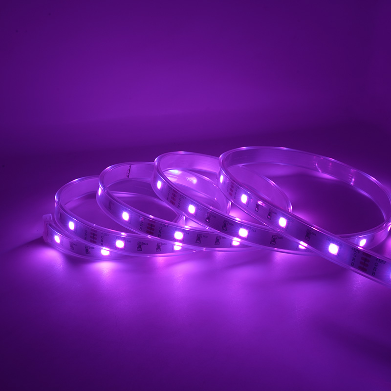 Cinta colorida impermeable de la luz de tira del LED 12V RGB LED con 48 LED los 5M IP67 8
