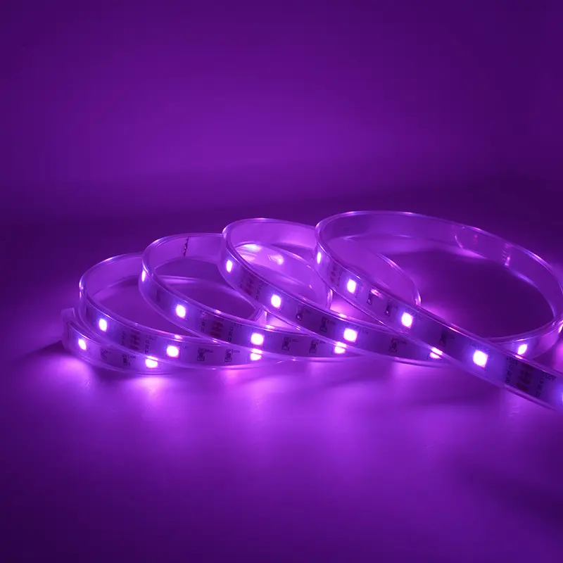 5m Led Strip Light 12mm RGBWsupply 10