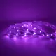 5m Led Strip Light 12mm RGBWsupply 10