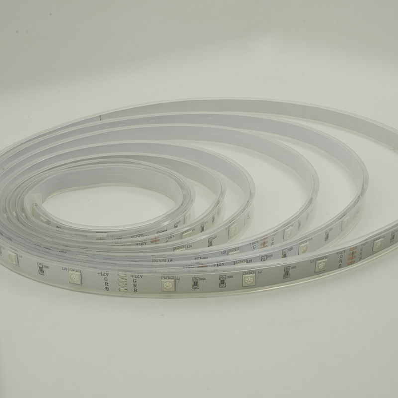 Cinta colorida impermeable de la luz de tira del LED 12V RGB LED con 48 LED los 5M IP67 9