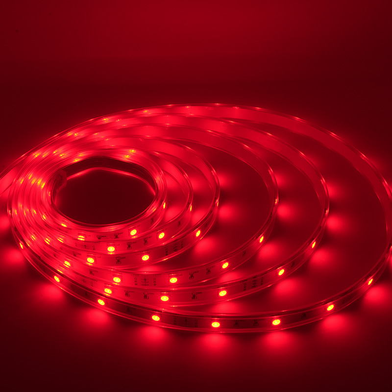 Cinta colorida impermeable de la luz de tira del LED 12V RGB LED con 48 LED los 5M IP67 7