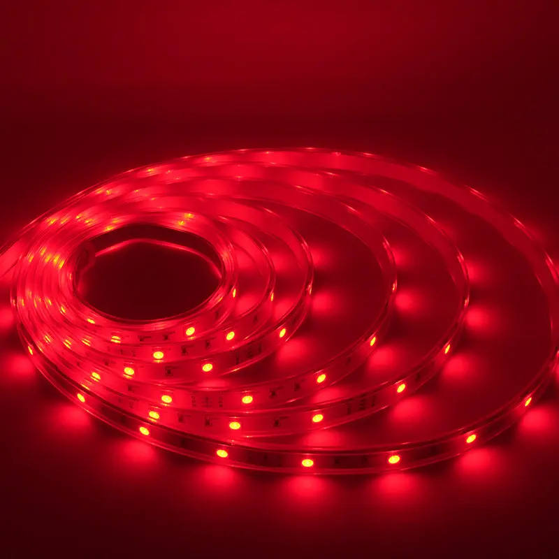 5m Led Strip Light 12mm RGBWsupply 8